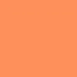 Спортивное покрытие Tarkett Omnisports Action 65 Orange