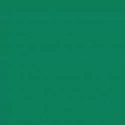 Спортивное покрытие Tarkett Omnisports Action 65 Field Green