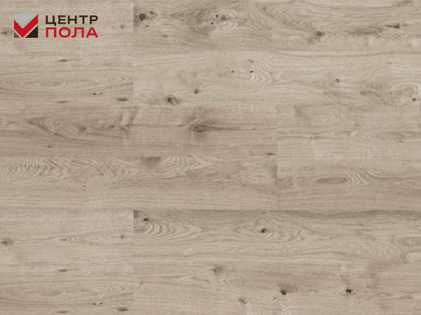 Замковое пробковое покрытие CorkStyle WOOD Oak Grey